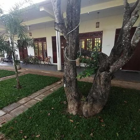Sigiriya Green Garden Homestay Exterior foto
